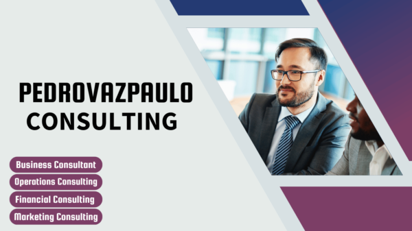 pedrovazpaulo business consultant