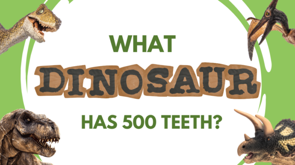 what dinosaur has 500 teeth